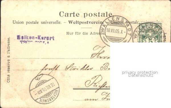 Gemse Berge Wallenstadt – Bild 2