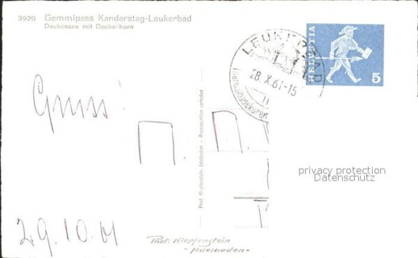 Schafe Gemmipass Kandersteg-Leukerbad Daubense – Bild 2