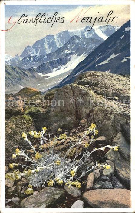 Blumen Edelraute Walliser Alpen