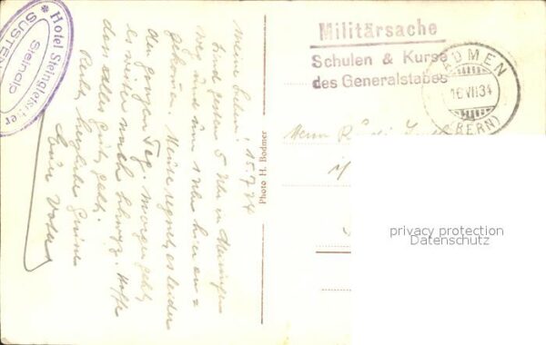 Schafe Sustenpasshöhe Spannörter – Bild 2