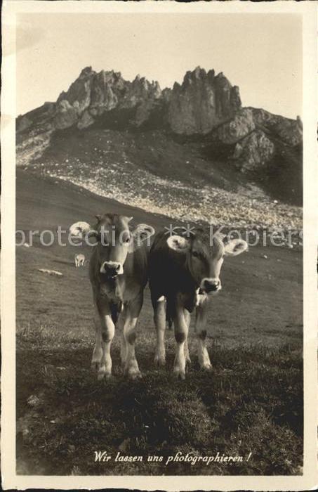 Kuehe Alm