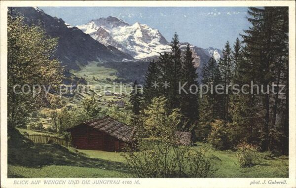 Foto Gaberell J. Nr. 2748 Wengen Jungfrau
