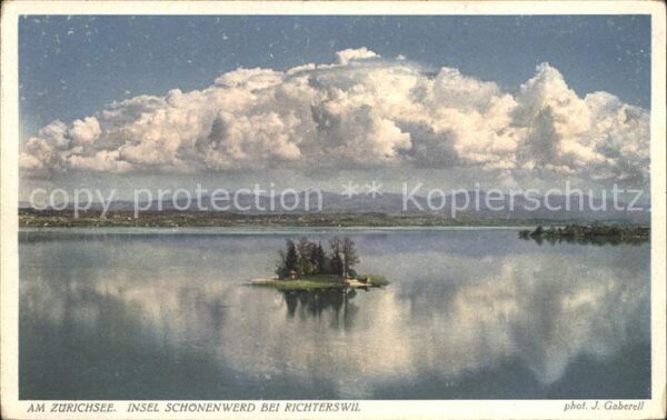 Foto Gaberell J. Nr. 4575 Zürichsee Insel Schönenwerd Richte