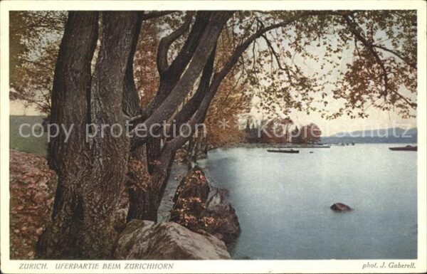 Foto Gaberell J. Nr. 7504 Zürich Uferpartie Zürichhorn