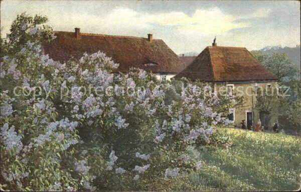 Verlag Photochromie Nr. 1583 Haus Neuchatel Blumen Natur