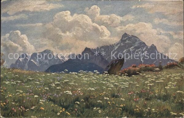 Kuenstlerkarte W. Bürger Blühende Alpe Nr. 3789