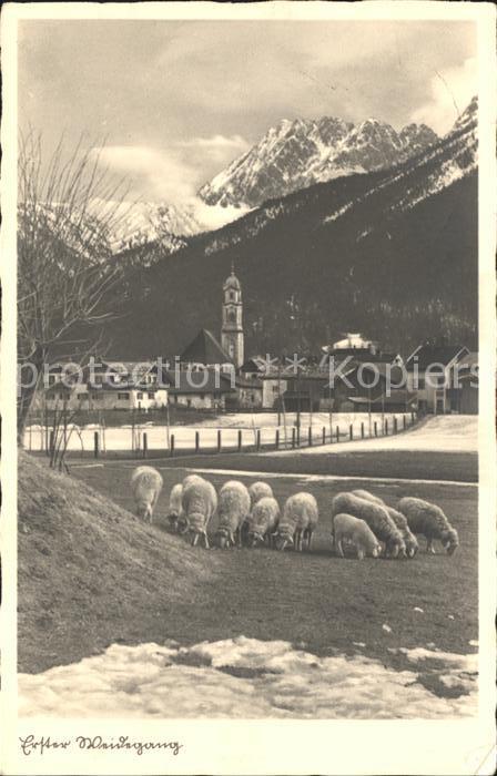 Schafe Weide Bahnpost-Stempel