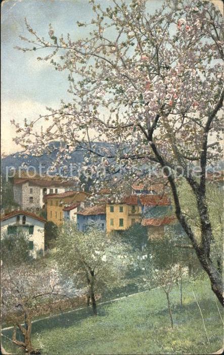 Verlag Photochromie Nr. 1610 Häuser Baum Natur