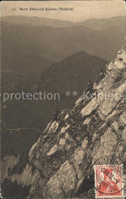 Bergsteigen Klettern Beim Edelweiss-Suchen Rossfluh