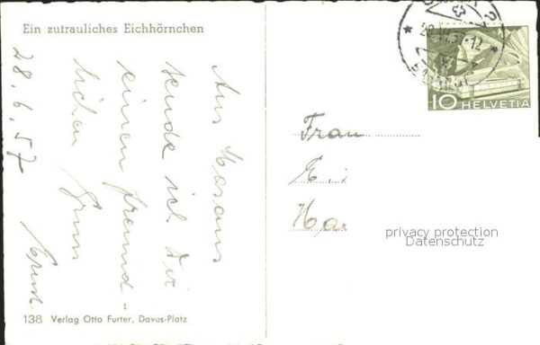 Eichhoernchen – Bild 2