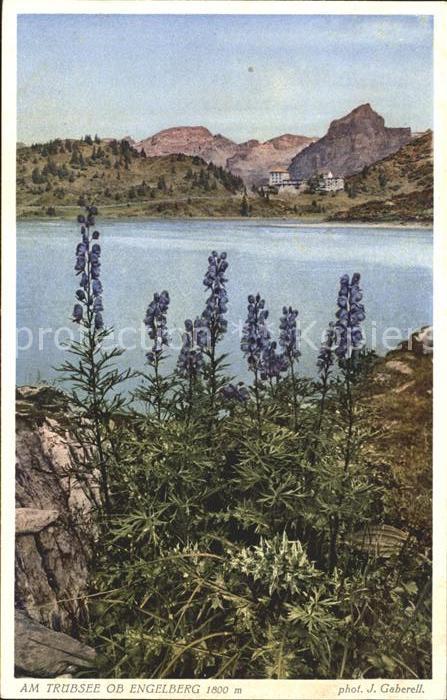 Foto Gaberell J. Nr. 11672 Trübsee Engelberg