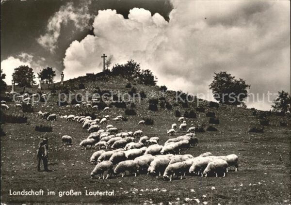 Schafe Schafherde Hirte Landschaft Lautertal
