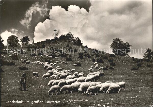 Schafe Schafherde Hirte Lautertal Landschaft