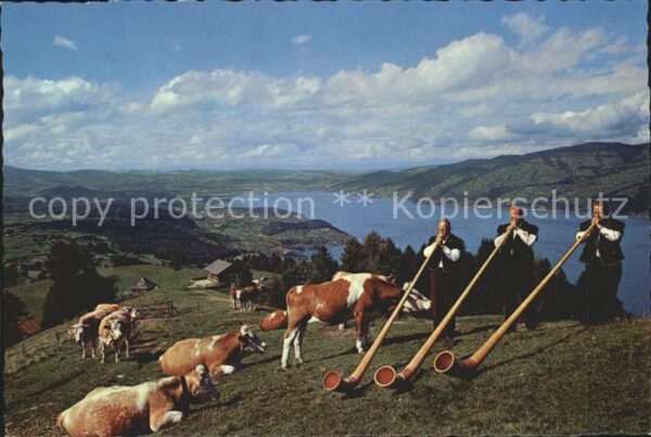 Alphorn Alphornbläser Alphorntrio Morgebärg Aes