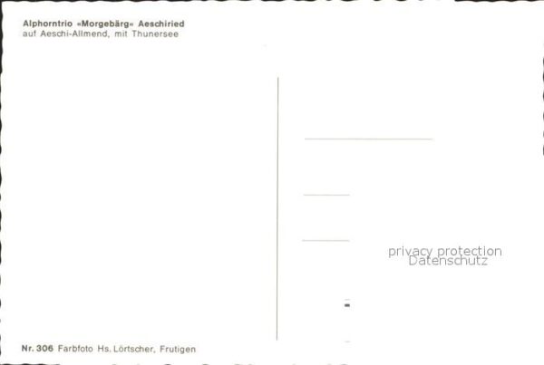Alphorn Alphornbläser Alphorntrio Morgebärg Aes – Bild 2