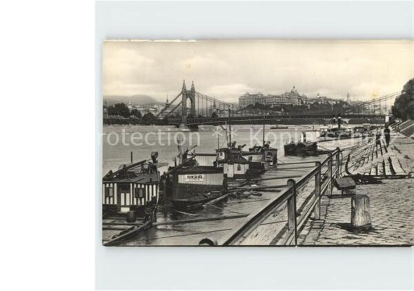 Budapest Donaupartie Elisabethbrücke