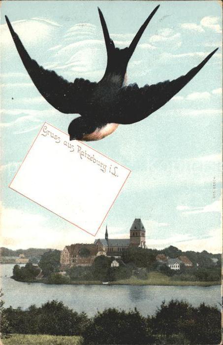 Schwalbenkarte Ratzeburg