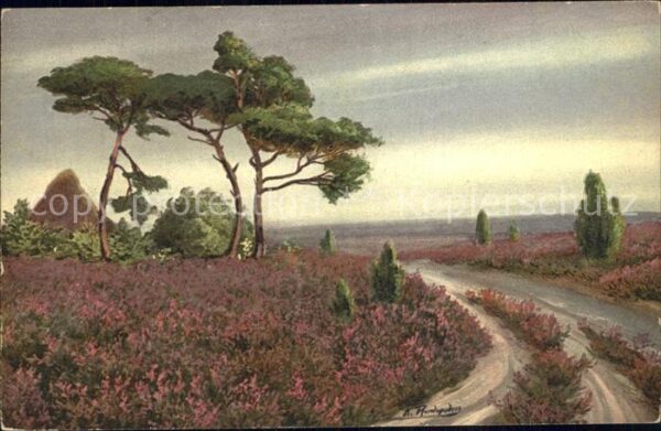 Kuenstlerkarte K. Rundspaden Wenn die Heide blüht