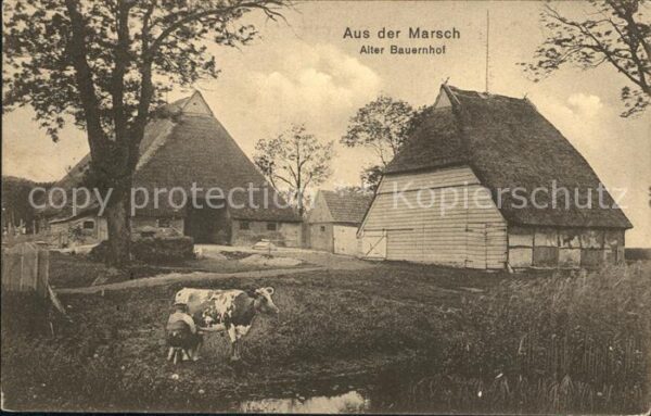 Bauernhof Marsch Kuh Handmelken
