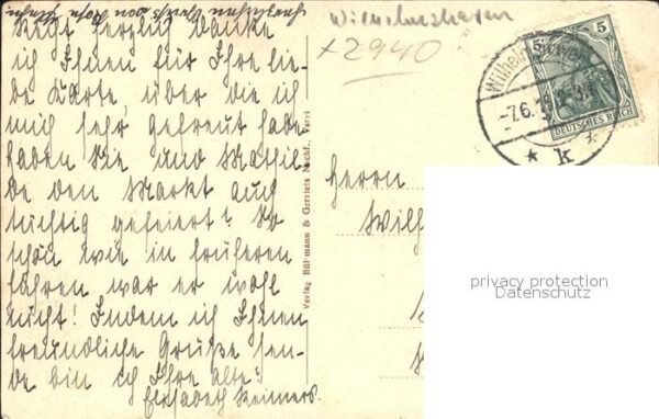 Baeume Trees Urwald Wilhelmshaven – Bild 2