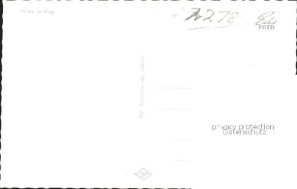 Moewen – Bild 2