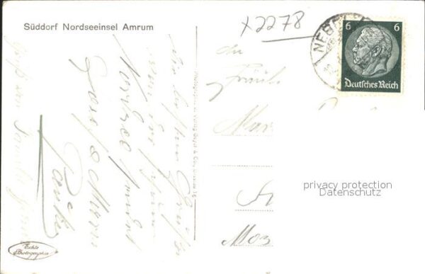 Moewen Insel Amrum – Bild 2