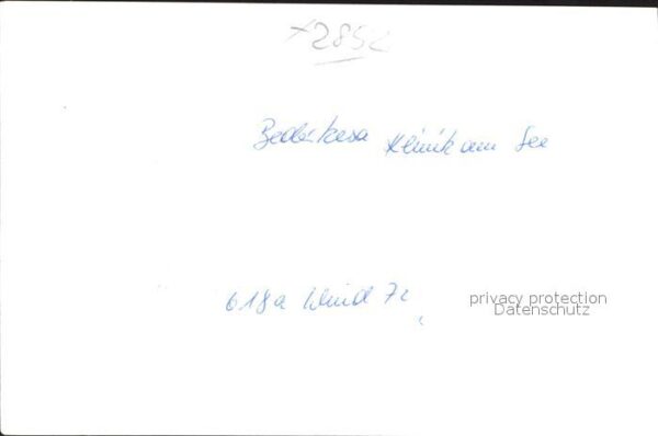 Pferde Bad Bederkesa – Bild 2