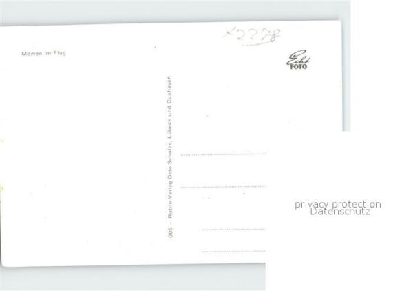 Moewen – Bild 2