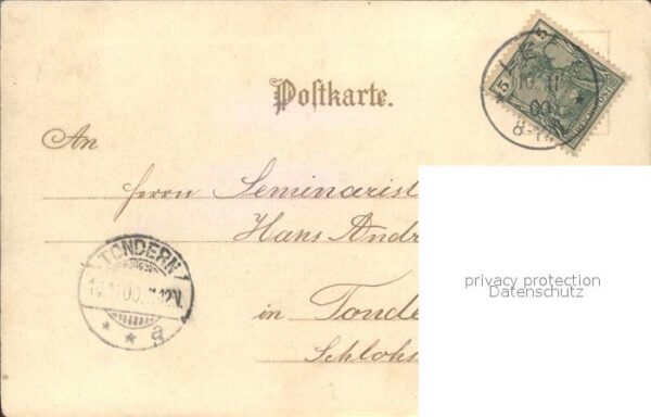 Tauben Vergissmeinnicht Litho – Bild 2