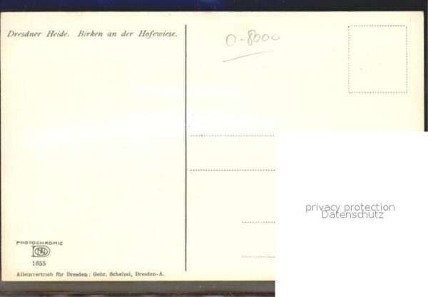 Verlag Photochromie Nr. 1655 Dresdner Heide Birken Hofewiese – Bild 2