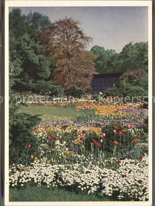 Ausstellung Planten un Bloemen Hamburg Tulpenblüte