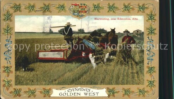 Ernte Landwirtschaft Harvesting Edmonton Alta Canada