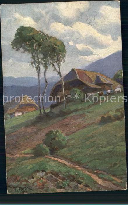 Reiss Fritz Sommer im Schwarzwald