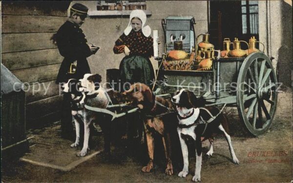 Hundekarren Laitiere Flamande Bruxelles Polizist