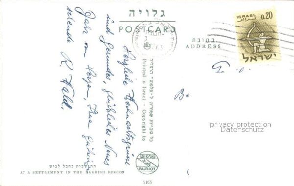 Ernte Landwirtschaft Settlement Lakish Region Israe – Bild 2