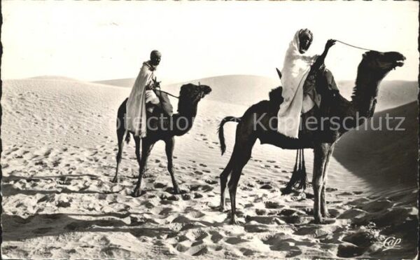 Scenes et Types Nr. 1117 Meharistes traversant les Dunes Ka