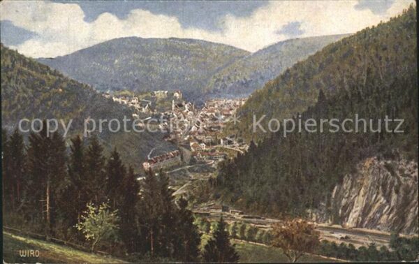 Verlag WIRO Wiedemann Nr. 2455 C Triberg Schwarzwald