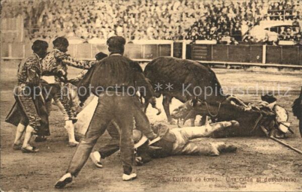 Stierkampf Corrida de Toros Calda al Descublerto