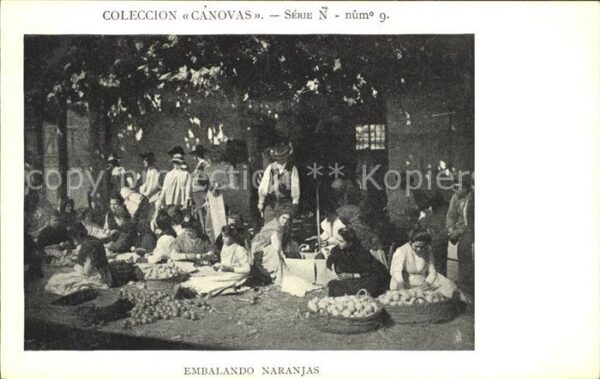 CANOVAS COLECCION Nr. 9 Serie N Emblando Naranjas