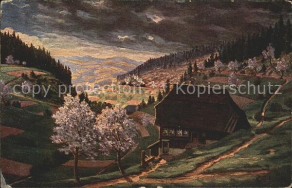 Simon A. Frühling im Schwarzwald Nussbachtal