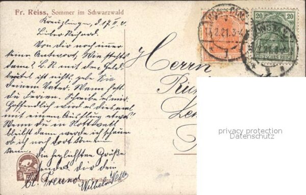 Reiss Fritz Sommer im Schwarzwald – Bild 2