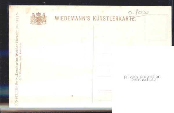 Verlag Wiedemann WIRO Nr. 1831 A Loschwitz-Weisser Hirsch Zahnrad – Bild 2