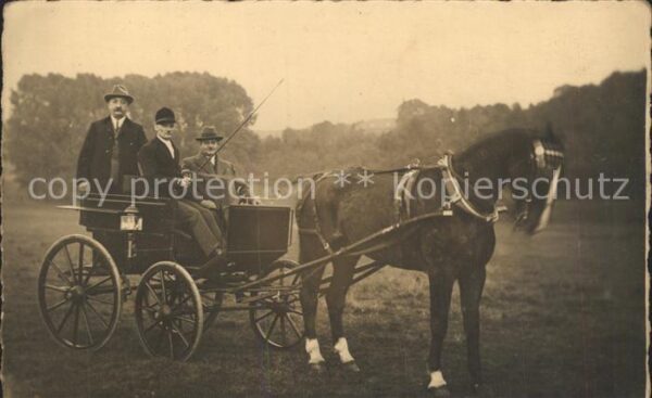 Pferdekutschen Privatfoto