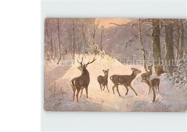 Hirsch Wald Werbung Abführmittel Richard Brand