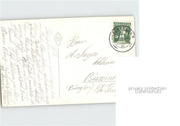 Neujahr Kleeblatt Pilze Litho – Bild 2