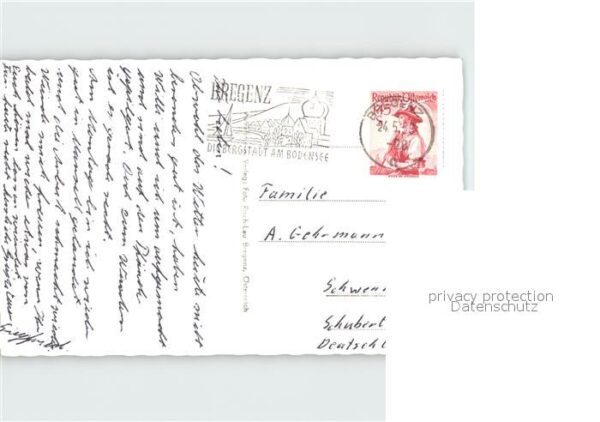 Gemse Gemsennest Nordostsüdwestwand Gamskogel – Bild 2