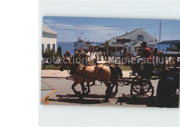 Pferdekutschen Carriage Team Main Street Mackinac Isla