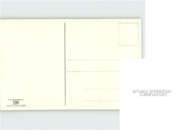 Verlag Photochromie Nr. 487 Alpenveilchen – Bild 2