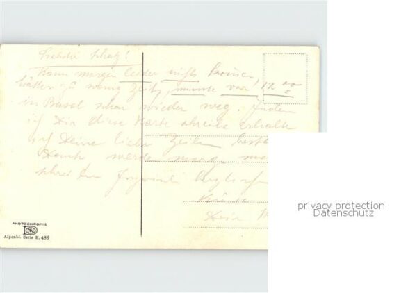Verlag Photochromie Nr. 486 Alpenrosen Enzian – Bild 2