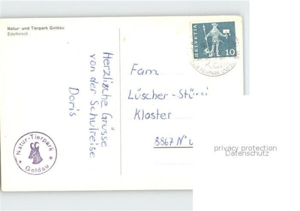 Hirsch Edelhirsch Tierpark Goldau – Bild 2